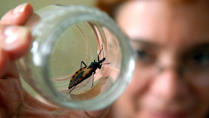 ¿Cuándo y dónde surgió la enfermedad de Chagas?
